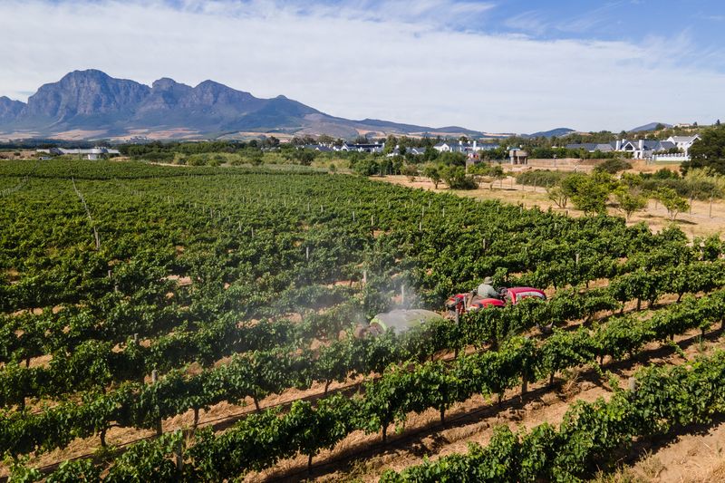 0 Bedroom Property for Sale in Val De Vie Estate Western Cape